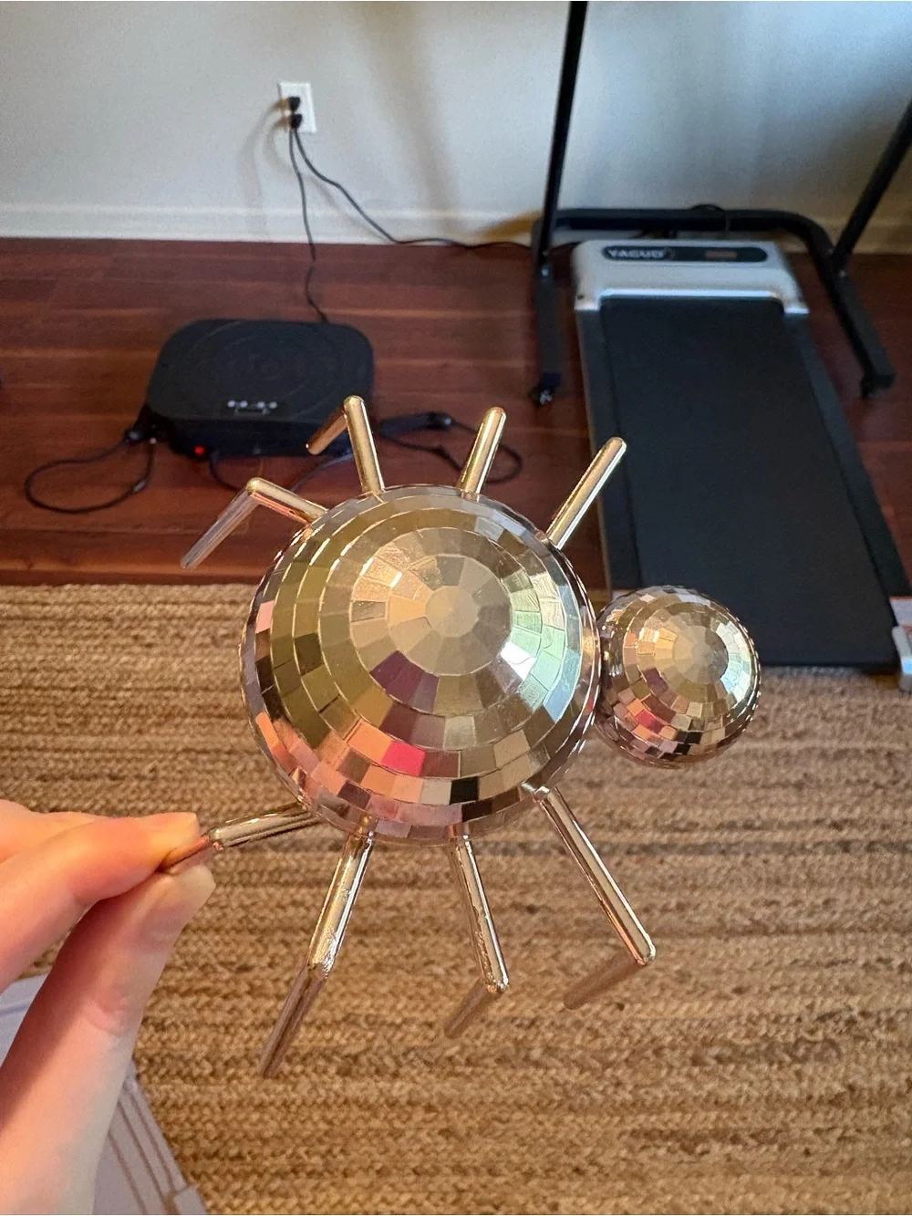 Disco Ball Spider